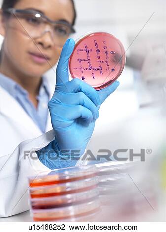 Stock Image - Microbiological research. Fotosearch