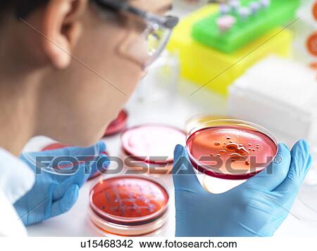 Microbiological research View Large Photo Image Stock Image - Microbiological research. Fotosearch