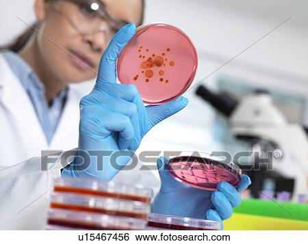 Stock Photograph - Microbiological research. Fotosearch