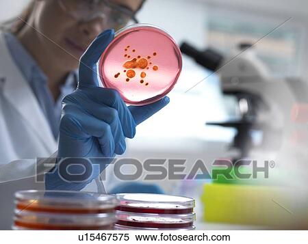 Stock Photography - Microbiological research. Fotosearch