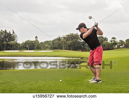 Mid adult man playing golf View Large Photo Image Stock Photo - Mid adult man playing golf. Fotosearch