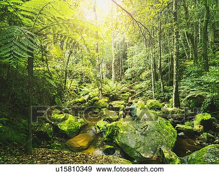 Mid adult man sitting on rock in green forest View Large Photo Image Stock Photo - Mid adult man sitting on rock in green forest. Fotosearch