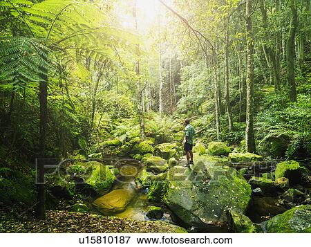 Mid adult man standing on rock in green forest View Large Photo Image Stock Photo - Mid adult man standing on rock in green forest. Fotosearch