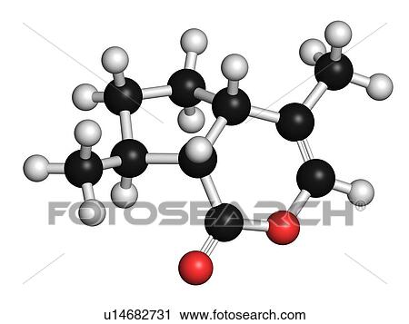 Stock Image - Nepetalactone catnip, illustration. Fotosearch
