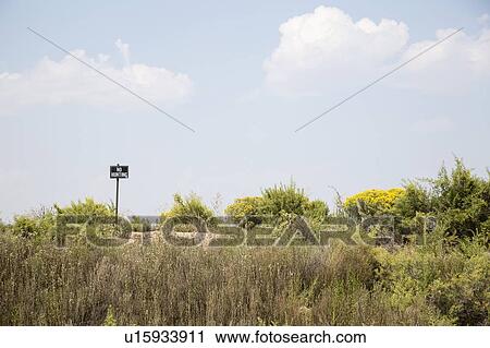 No hunting sign in grass View Large Photo Image Stock Image - No hunting sign in grass. Fotosearch