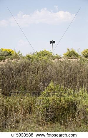 Stock Photo - No hunting sign in grass. Fotosearch