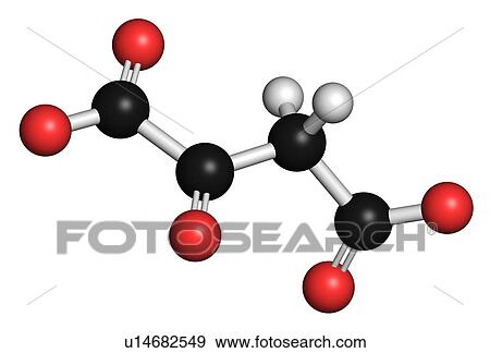 Stock Photo - Oxaloacetic acid molecule, illustration. Fotosearch