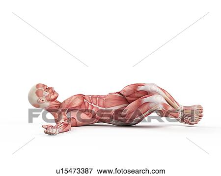Person stretching on floor View Large Photo Image Stock Photo - Person stretching on floor. Fotosearch
