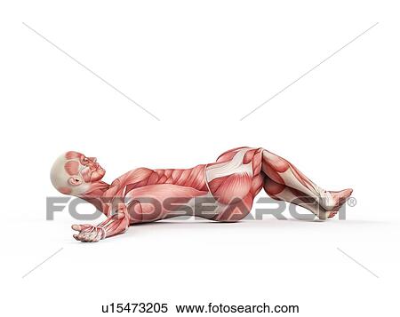 Person stretching on floor View Large Photo Image Stock Photography - Person stretching on floor. Fotosearch