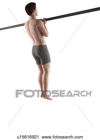 Stock Image - Person using chin up bar. Fotosearch