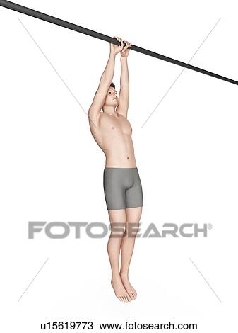 Person using chin up bar View Large Photo Image Stock Image - Person using chin up bar. Fotosearch