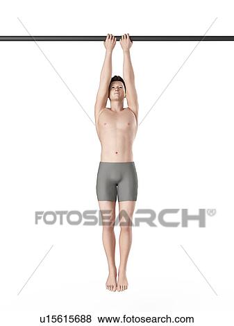 Person using chin up bar View Large Photo Image Stock Photo - Person using chin up bar. Fotosearch