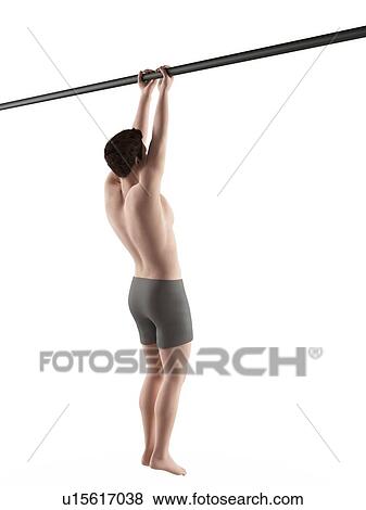 Person using chin up bar View Large Photo Image Stock Photo - Person using chin up bar. Fotosearch