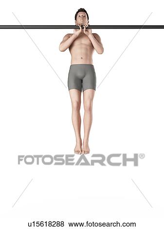 Person using chin up bar View Large Photo Image Stock Photo - Person using chin up bar. Fotosearch