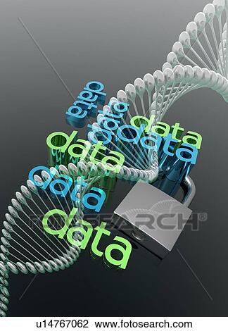 Personal information security View Large Photo Image Stock Image - Personal information security. Fotosearch