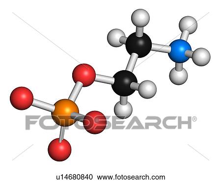 Stock Image - Phosphorylethanolamine, illustration. Fotosearch