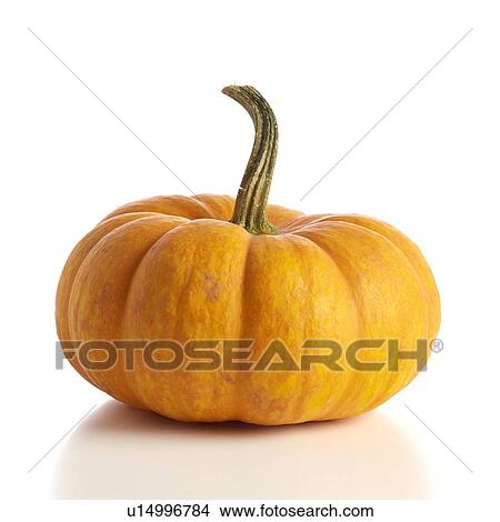 Picture - Pumpkin. Fotosearch