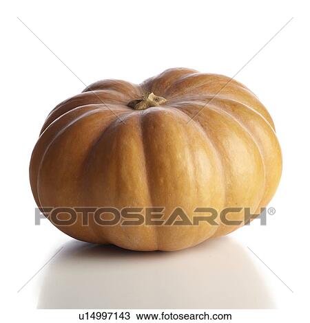 Pumpkin View Large Photo Image Stock Image - Pumpkin. Fotosearch