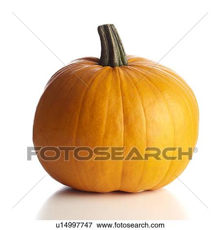 Pumpkin View Large Photo Image Stock Photo - Pumpkin. Fotosearch