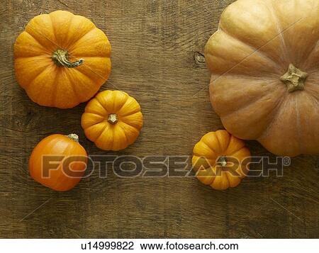 Stock Image - Pumpkins. Fotosearch