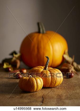 Pumpkins View Large Photo Image Stock Photo - Pumpkins. Fotosearch