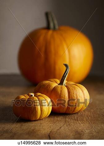 Stock Photo - Pumpkins. Fotosearch