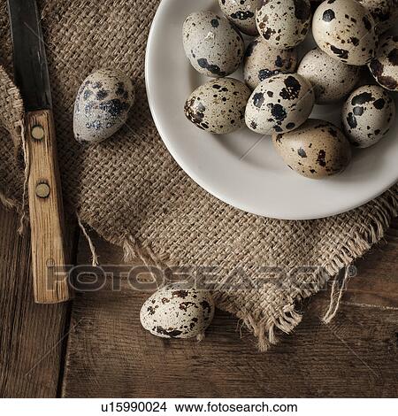 Picture - Quail eggs on plate. Fotosearch