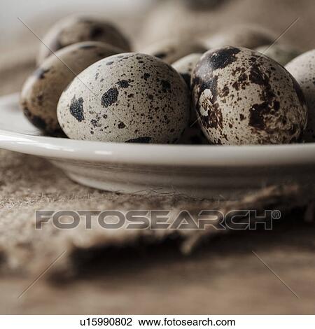 Stock Image - Quail eggs on plate. Fotosearch