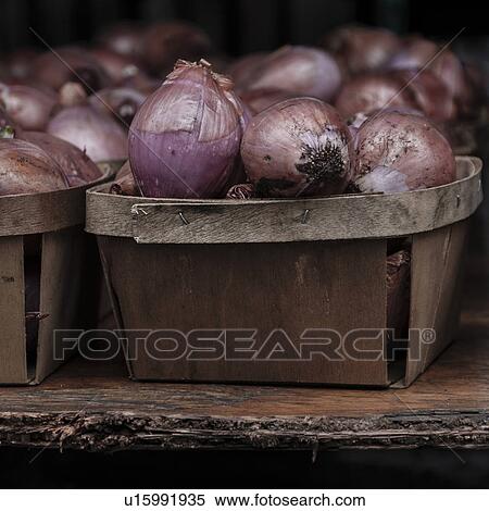 Stock Photography - Red onions in containers. Fotosearch