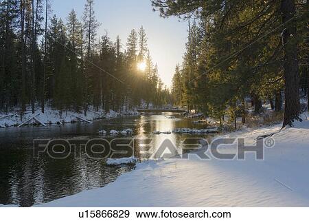 River in winter forest View Large Photo Image Stock Photo - River in winter forest. Fotosearch