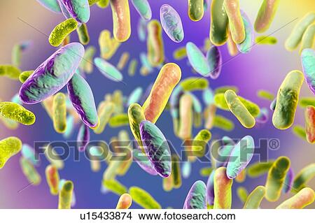 Picture - Rod-shaped bacteria, illustration. Fotosearch