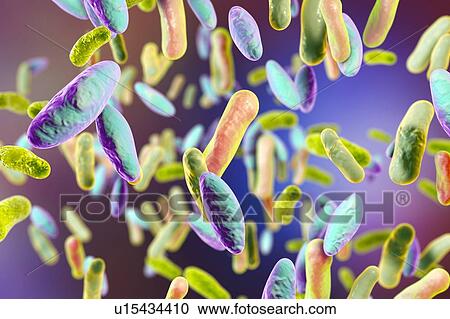 Rod-shaped bacteria, illustration View Large Photo Image Stock Image - Rod-shaped bacteria, illustration. Fotosearch