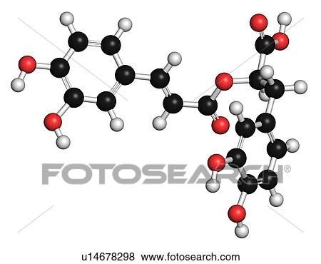 Stock Photo - Rosmarinic acid antioxidant, illustration. Fotosearch