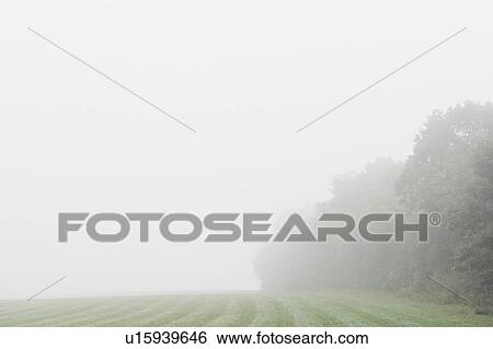 Stock Photograph - Rural landscape in fog. Fotosearch