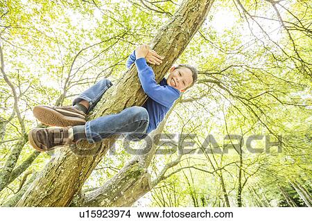 Smiling boy (6-7) climbing tree View Large Photo Image Picture - Smiling boy (6-7) climbing tree. Fotosearch