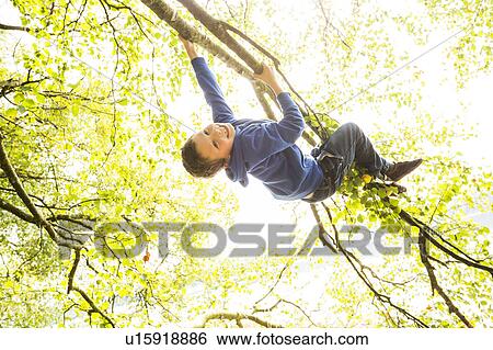 Stock Photograph - Smiling boy (6-7) hanging on branch. Fotosearch