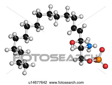 Sphingosine-1-phosphate, illustration View Large Photo Image Stock Image - Sphingosine-1-phosphate, illustration. Fotosearch