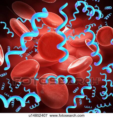 Spirillum bacteria, illustration View Large Photo Image Stock Photo - Spirillum bacteria, illustration. Fotosearch