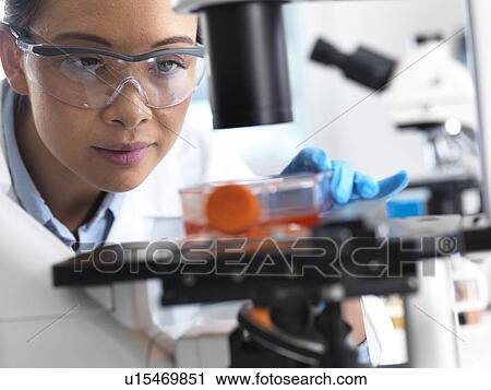 Stem cell research View Large Photo Image Stock Image - Stem cell research. Fotosearch