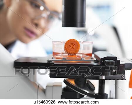 Stock Photograph - Stem cell research. Fotosearch