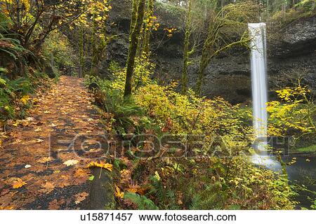 Waterfall in autumn forest View Large Photo Image Stock Photo - Waterfall in autumn forest. Fotosearch