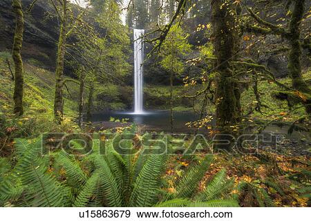Waterfall in green forest View Large Photo Image Stock Photo - Waterfall in green forest. Fotosearch