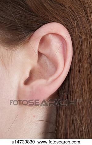 Stock Image - Woman's ear. Fotosearch