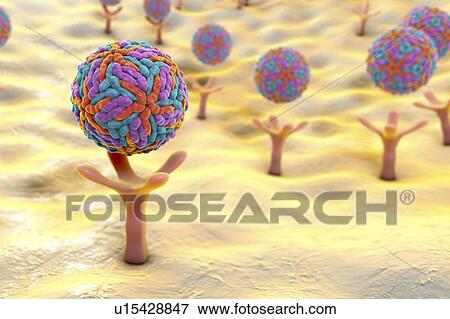 Stock Photo - Zika viruses, illustration. Fotosearch