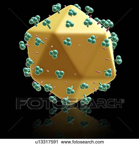 Stock Image - AIDS virus particle, illustration. Fotosearch