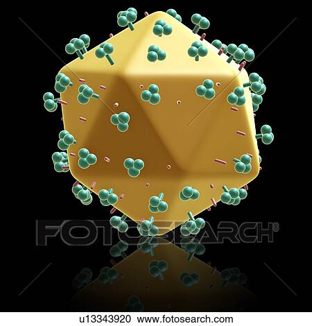 Aids virus particle, illustration View Large Photo Image Stock Image - Aids virus particle, illustration. Fotosearch