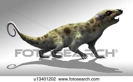 Artwork of Early Mammal Ptilodus View Large Photo Image Stock Image - Artwork of Early Mammal Ptilodus. Fotosearch