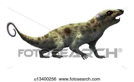Stock Photograph - Artwork of Early Mammal Ptilodus. Fotosearch