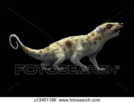 Stock Photograph - Artwork of Early Mammal Ptilodus. Fotosearch