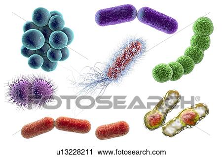 Stock Image - Bacteria, illustration. Fotosearch